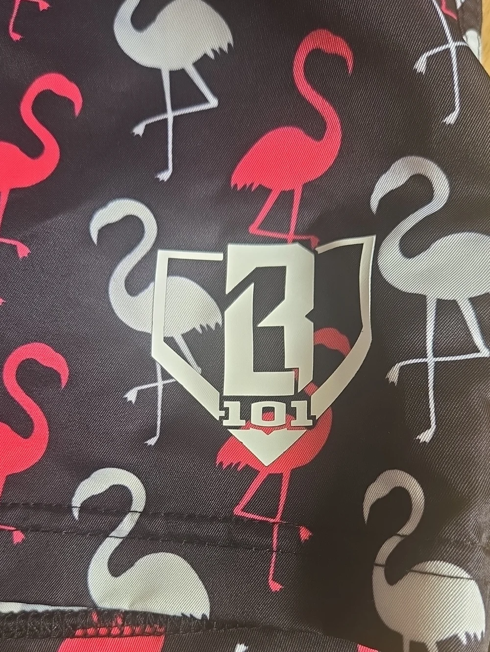Baseball Lifeatyle 101.  Boys Flamingo Print Swim Shorts - Pink & Black